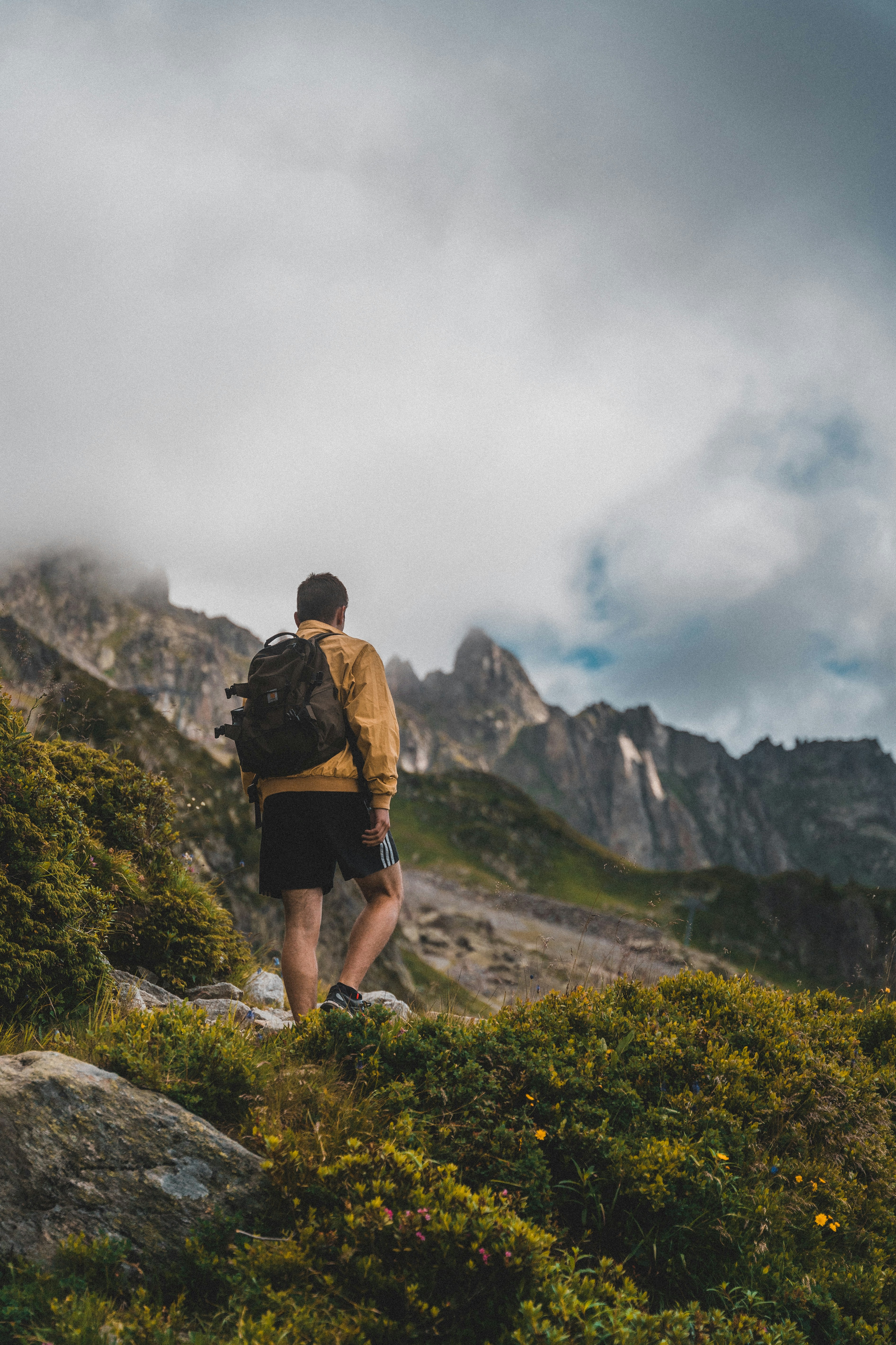 Walking in God's Purpose